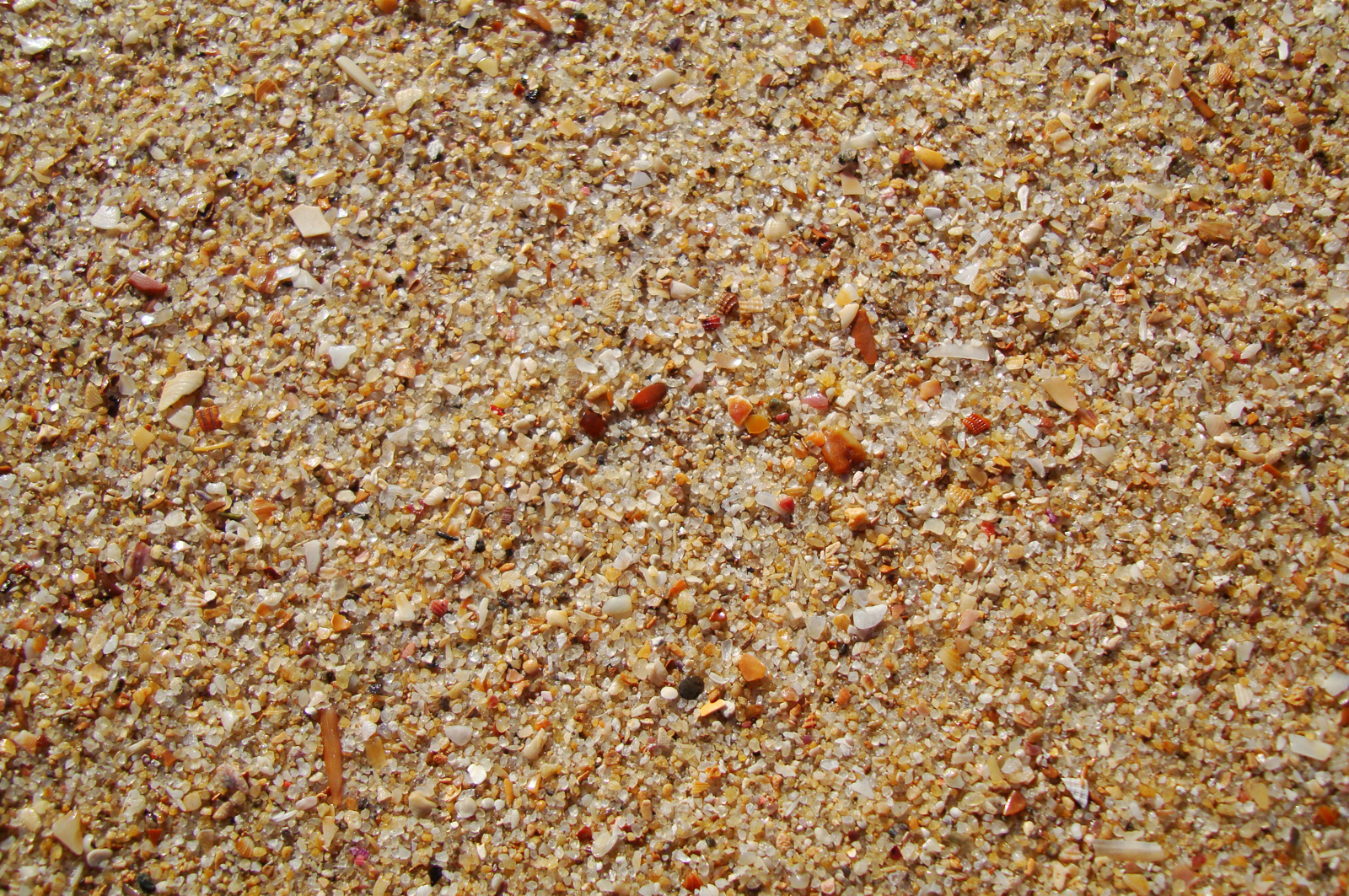 Песок оптом от производителя. Песок Речной крупнозернистый. Песок намывной крупнозернистый. Мелкий песок. Песок Речной мелкозернистый.