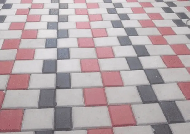 Interlocking Paver Blocks