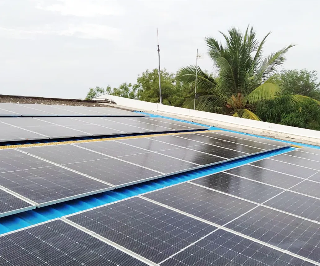 MM Exports Warehouse