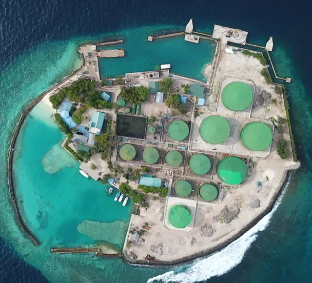 K. Funadhoo Coastal Protection Work