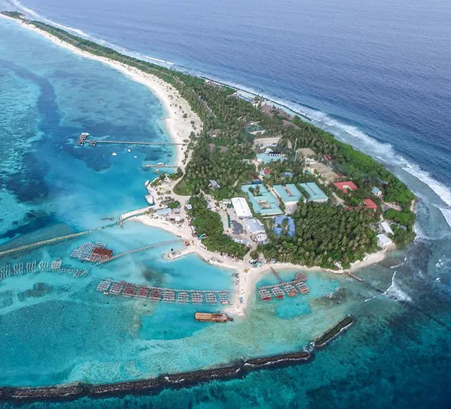  Construction of Breakwater for Kanifushi Resort